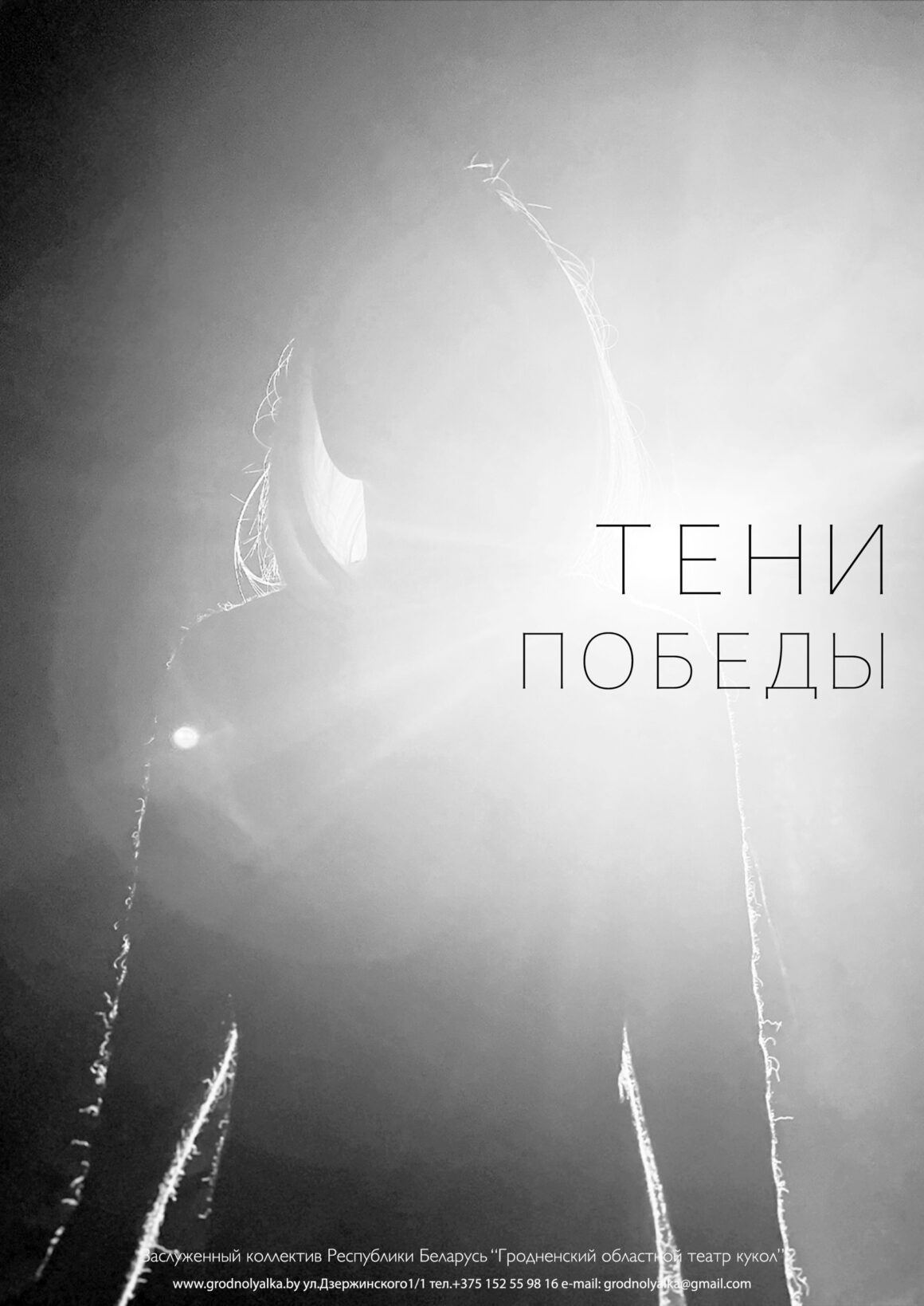 Тени Победы (12+)